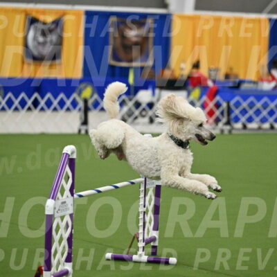 MAS-EX-JWW-24-Inch_3530