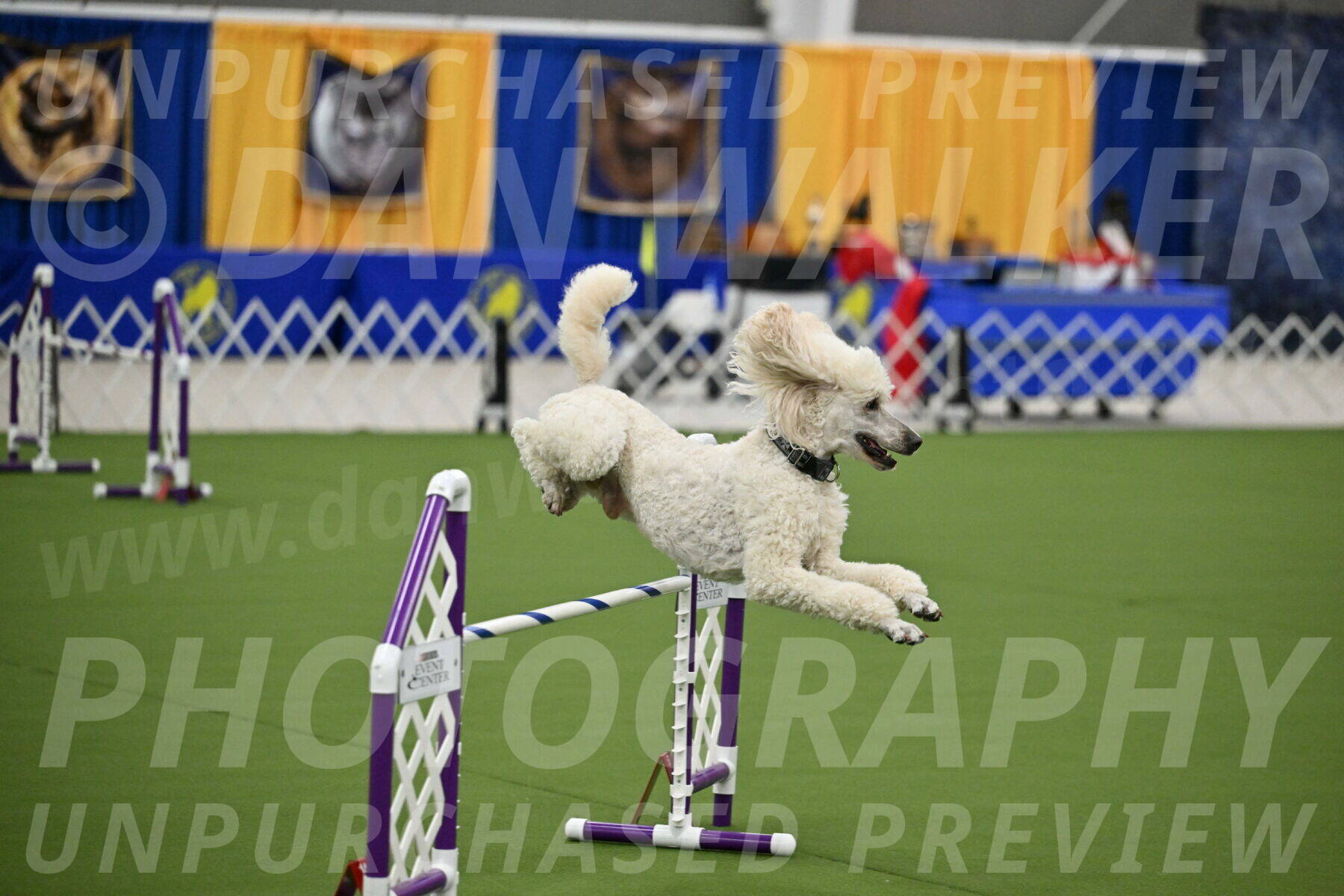 MAS-EX-JWW-24-Inch_3530