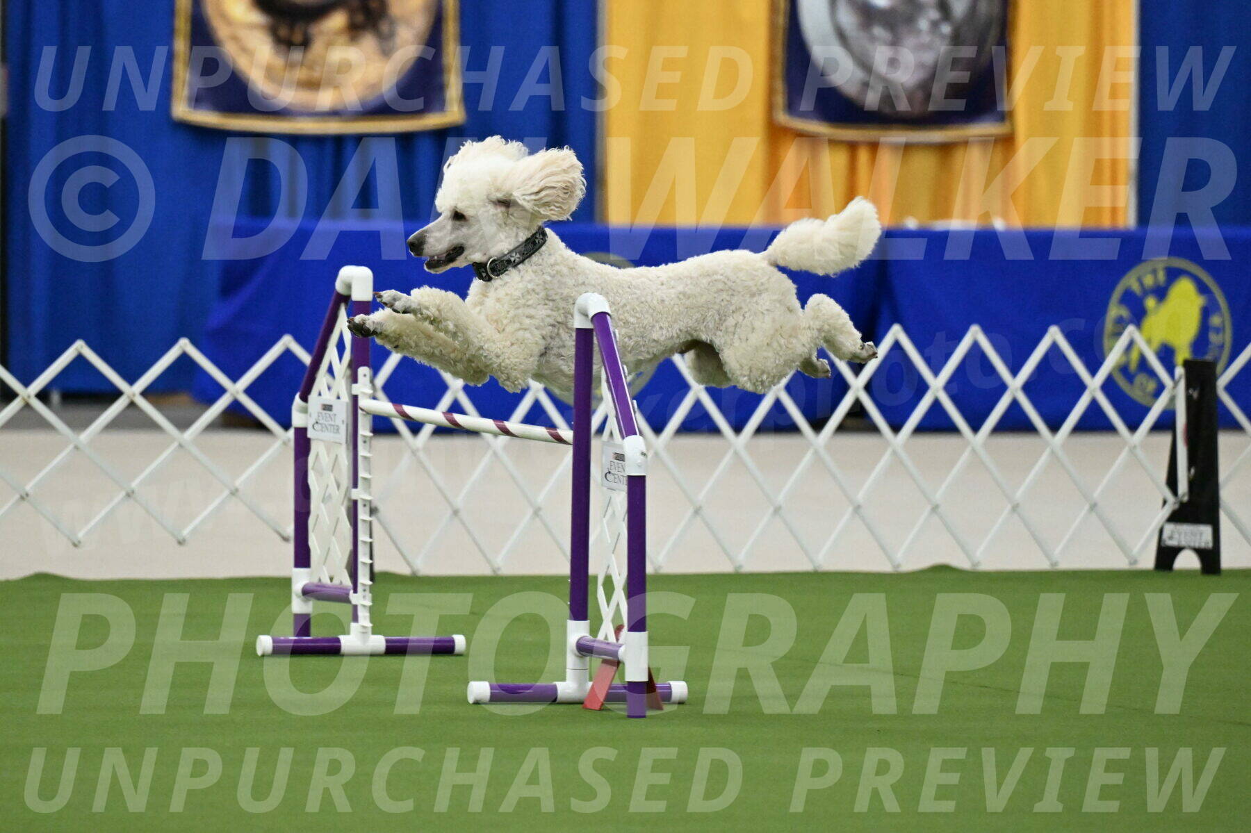 MAS-EX-JWW-24-Inch_3531