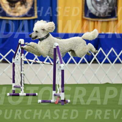 MAS-EX-JWW-24-Inch_3531