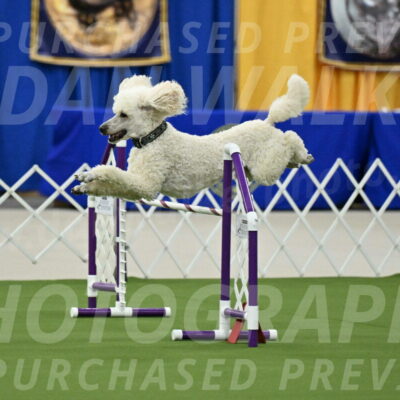 MAS-EX-JWW-24-Inch_3532