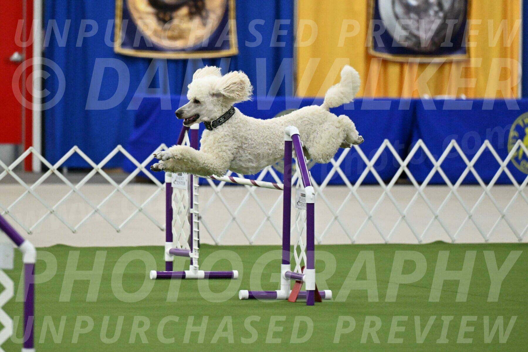 MAS-EX-JWW-24-Inch_3532