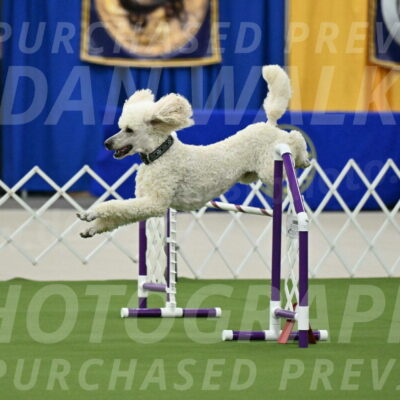 MAS-EX-JWW-24-Inch_3533