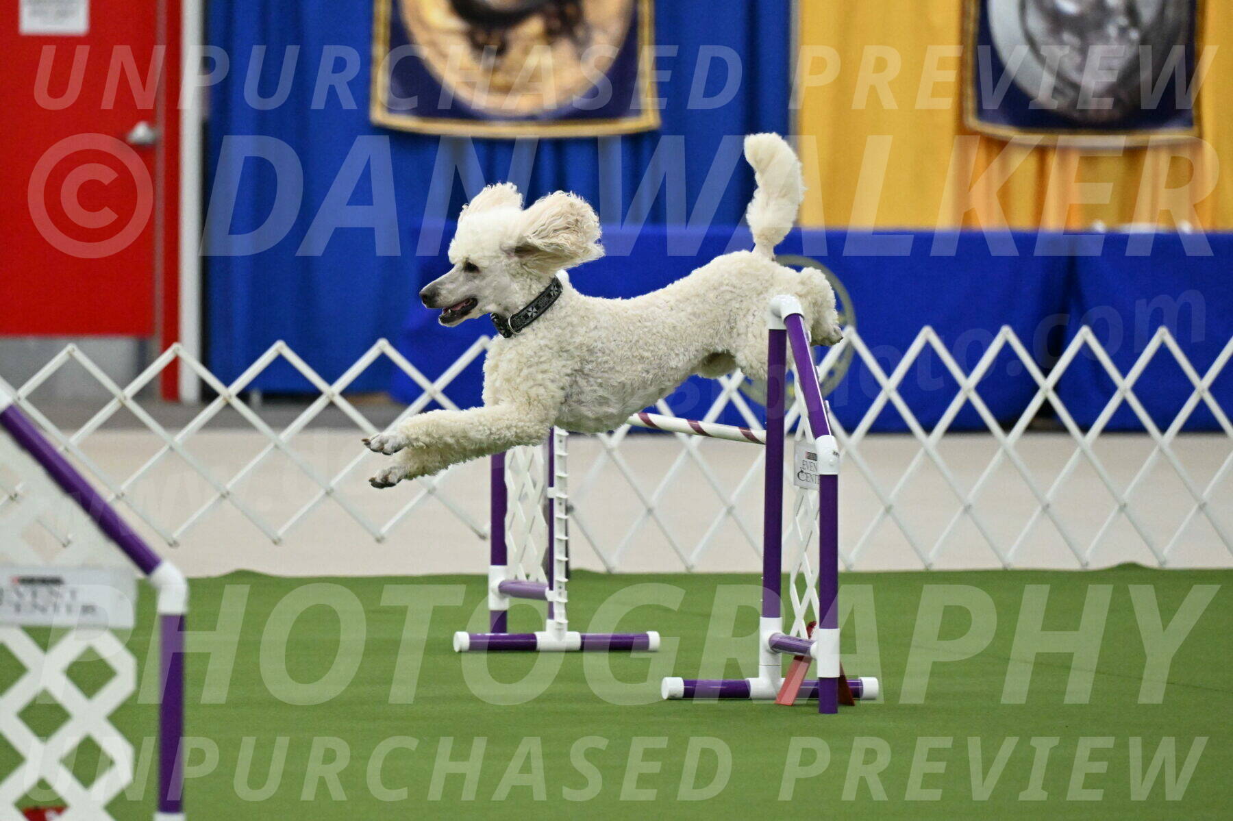 MAS-EX-JWW-24-Inch_3533