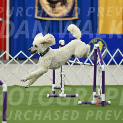 MAS-EX-JWW-24-Inch_3534