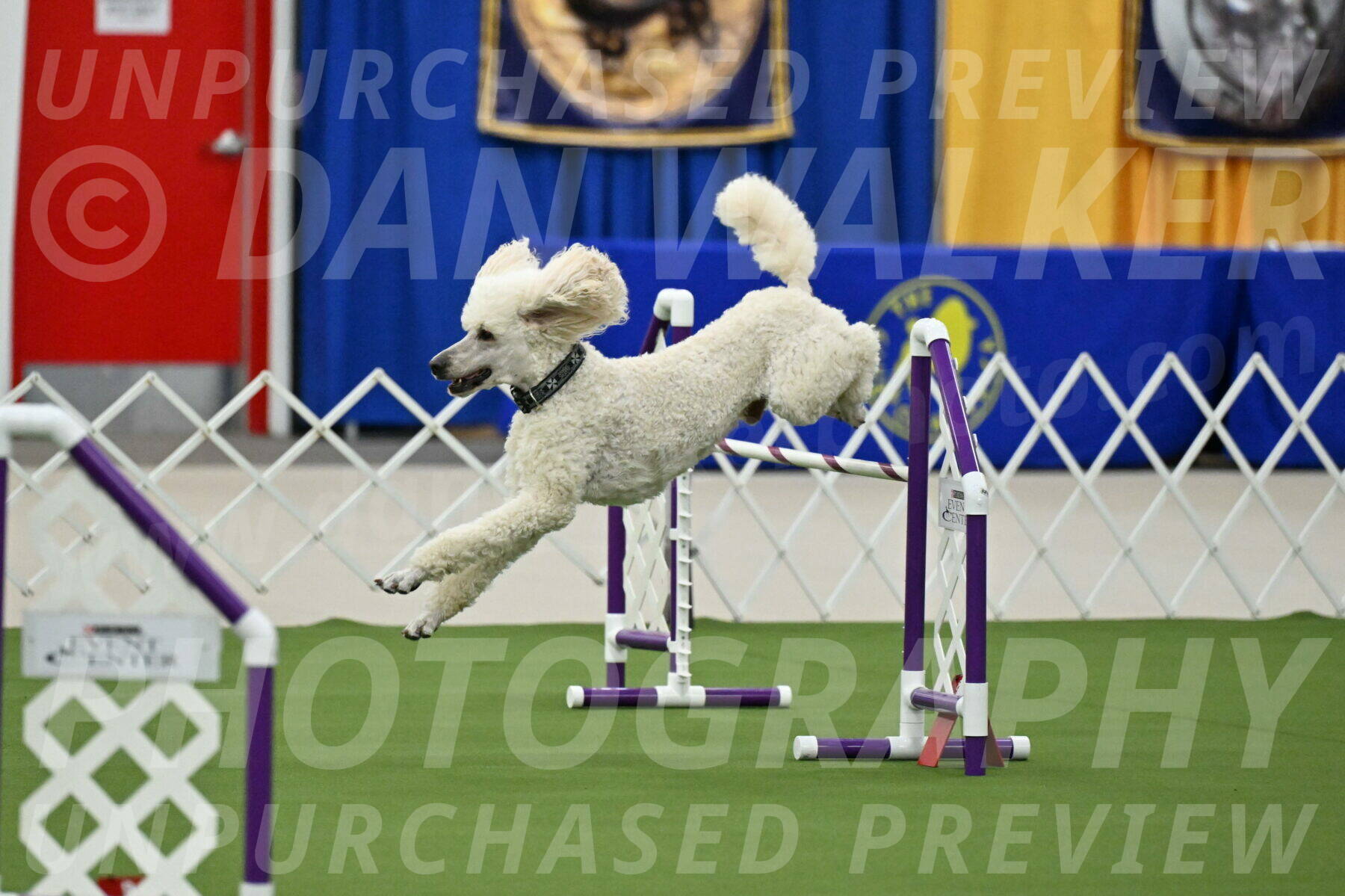 MAS-EX-JWW-24-Inch_3534