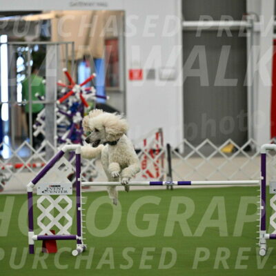 MAS-EX-JWW-24-Inch_3539