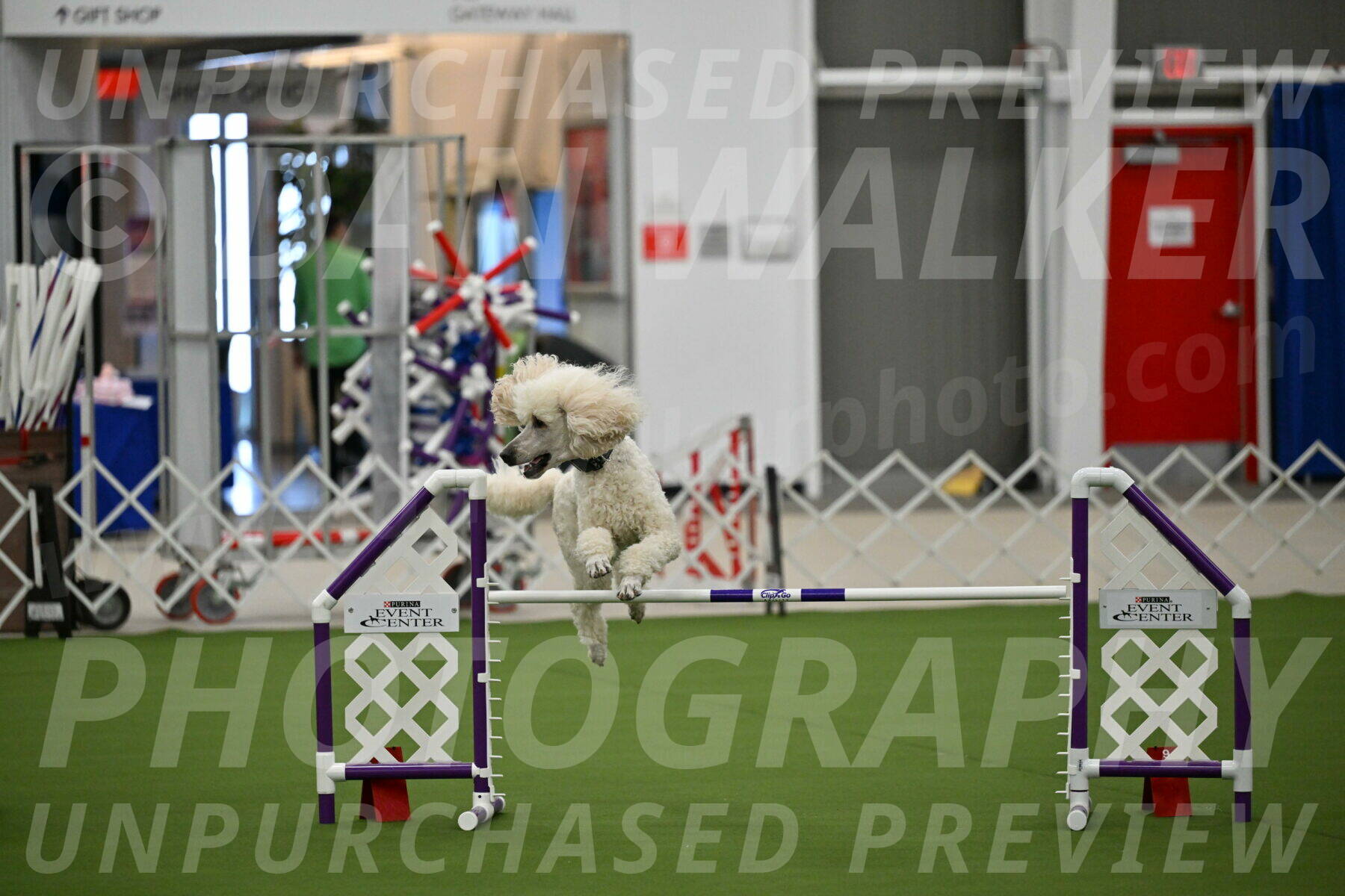 MAS-EX-JWW-24-Inch_3539