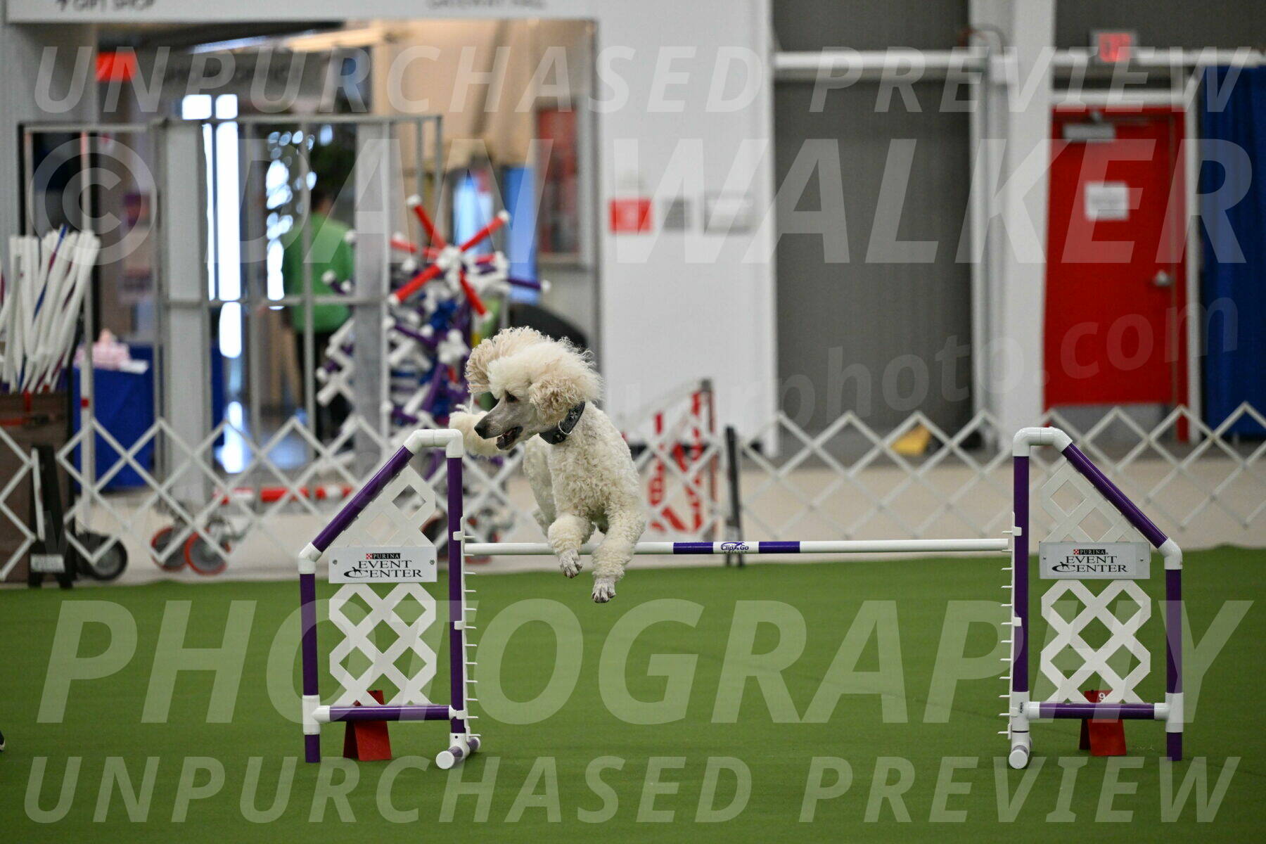 MAS-EX-JWW-24-Inch_3540