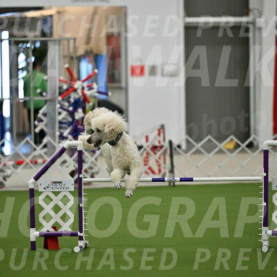 MAS-EX-JWW-24-Inch_3540