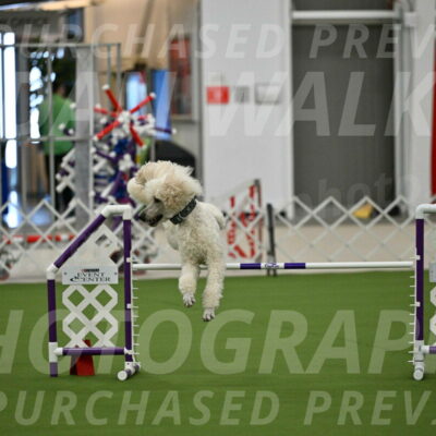 MAS-EX-JWW-24-Inch_3541