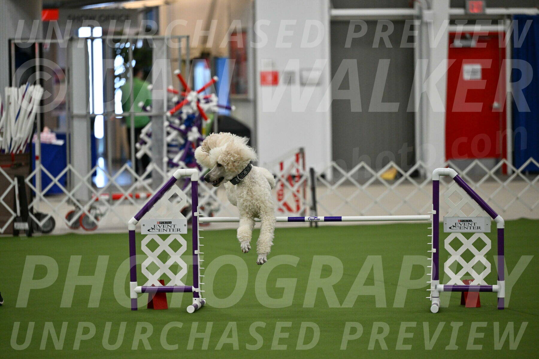 MAS-EX-JWW-24-Inch_3541