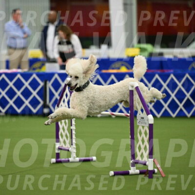 MAS-EX-JWW-24-Inch_3542