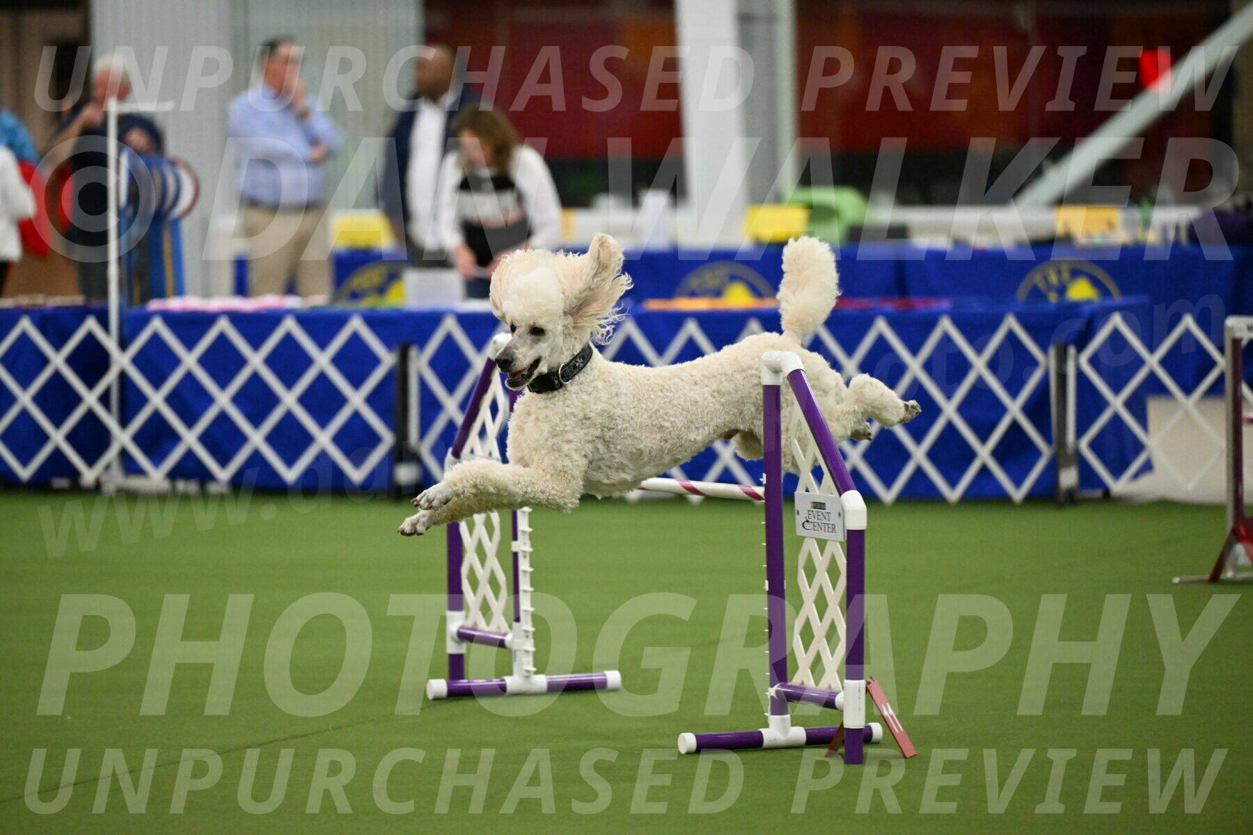 MAS-EX-JWW-24-Inch_3542