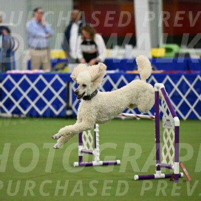 MAS-EX-JWW-24-Inch_3543