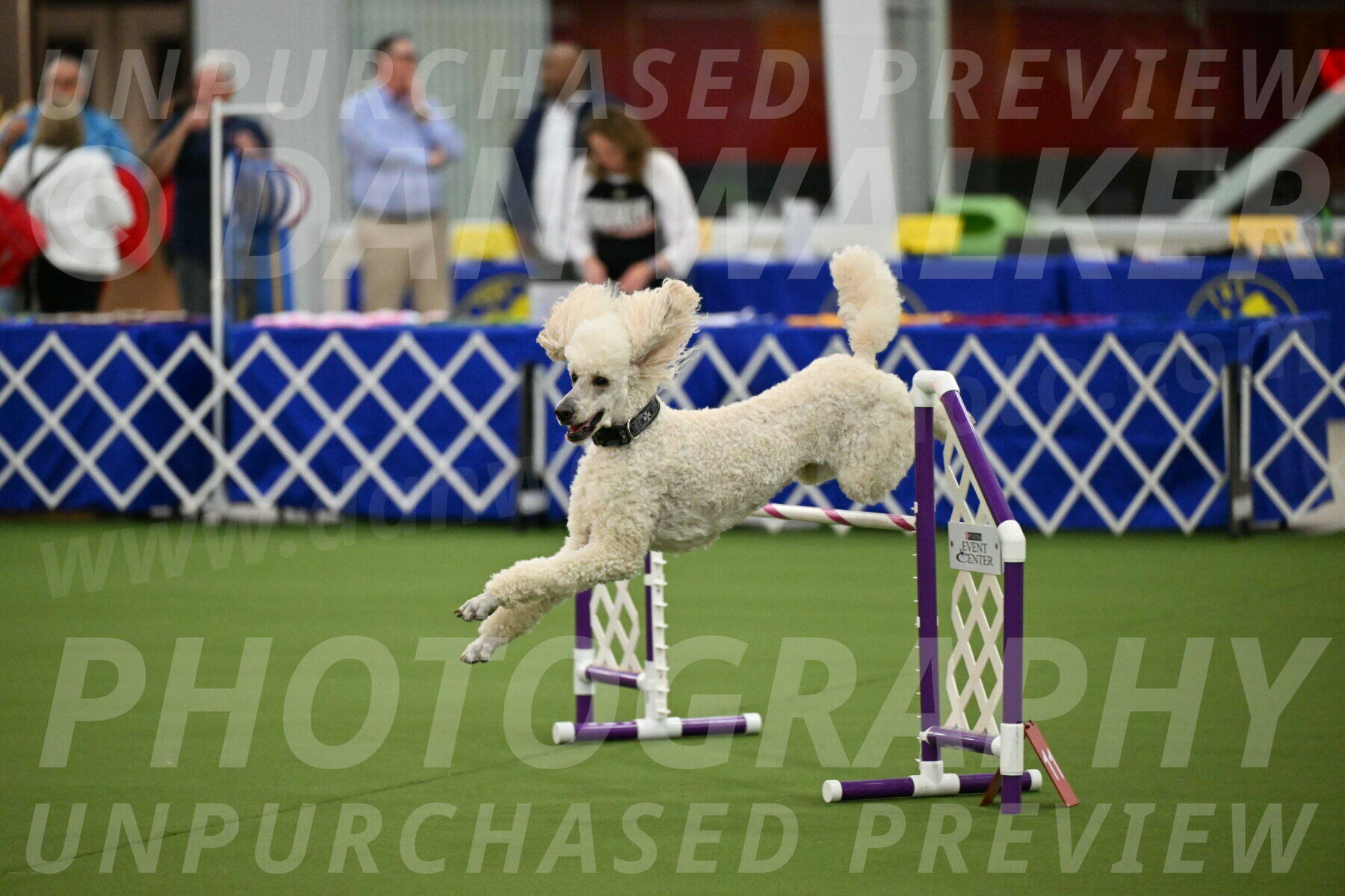 MAS-EX-JWW-24-Inch_3543