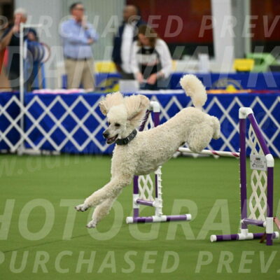 MAS-EX-JWW-24-Inch_3544