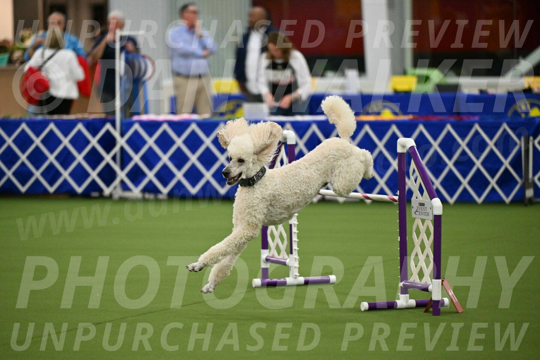 MAS-EX-JWW-24-Inch_3544