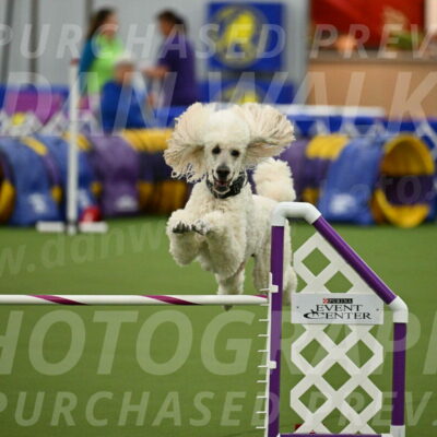 MAS-EX-JWW-24-Inch_3545