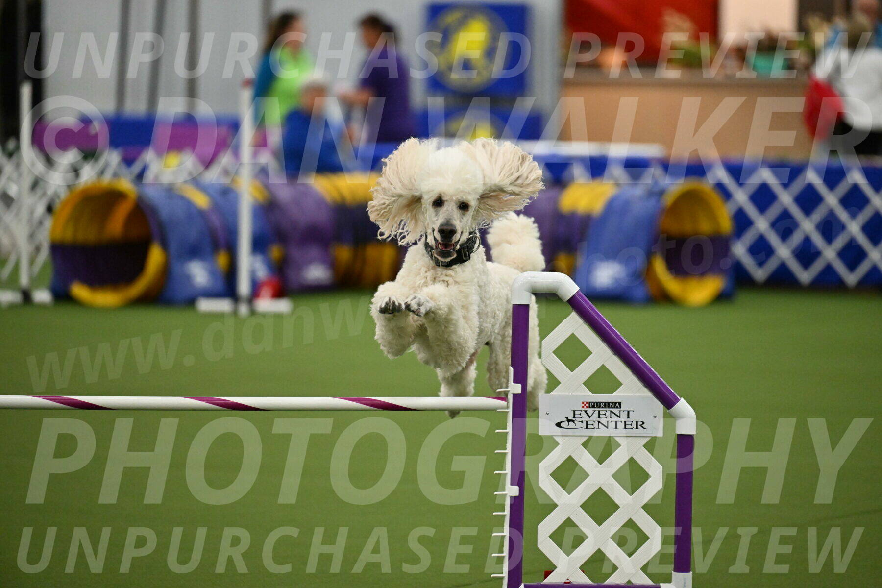 MAS-EX-JWW-24-Inch_3545