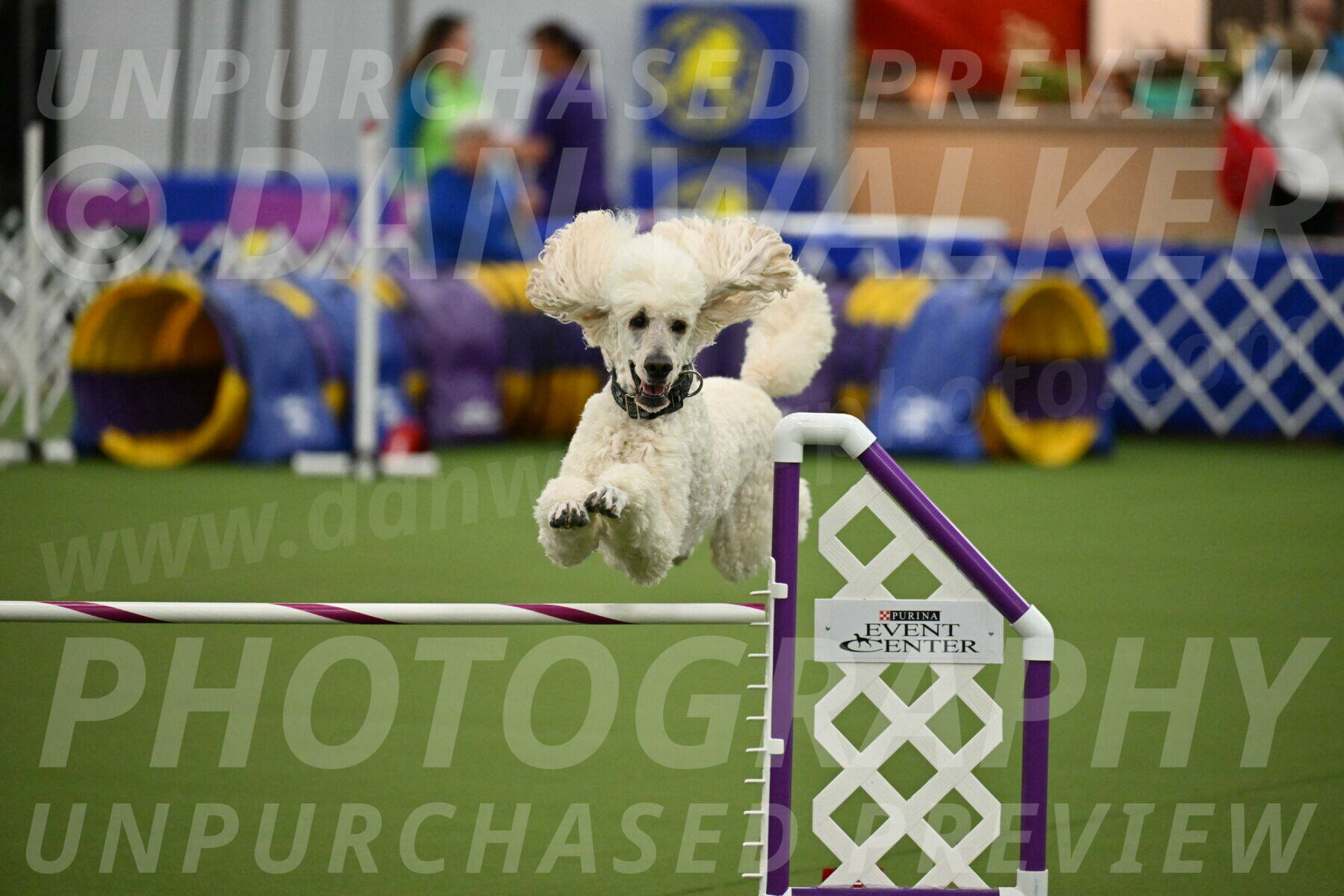 MAS-EX-JWW-24-Inch_3546