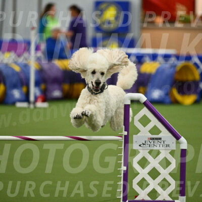 MAS-EX-JWW-24-Inch_3546