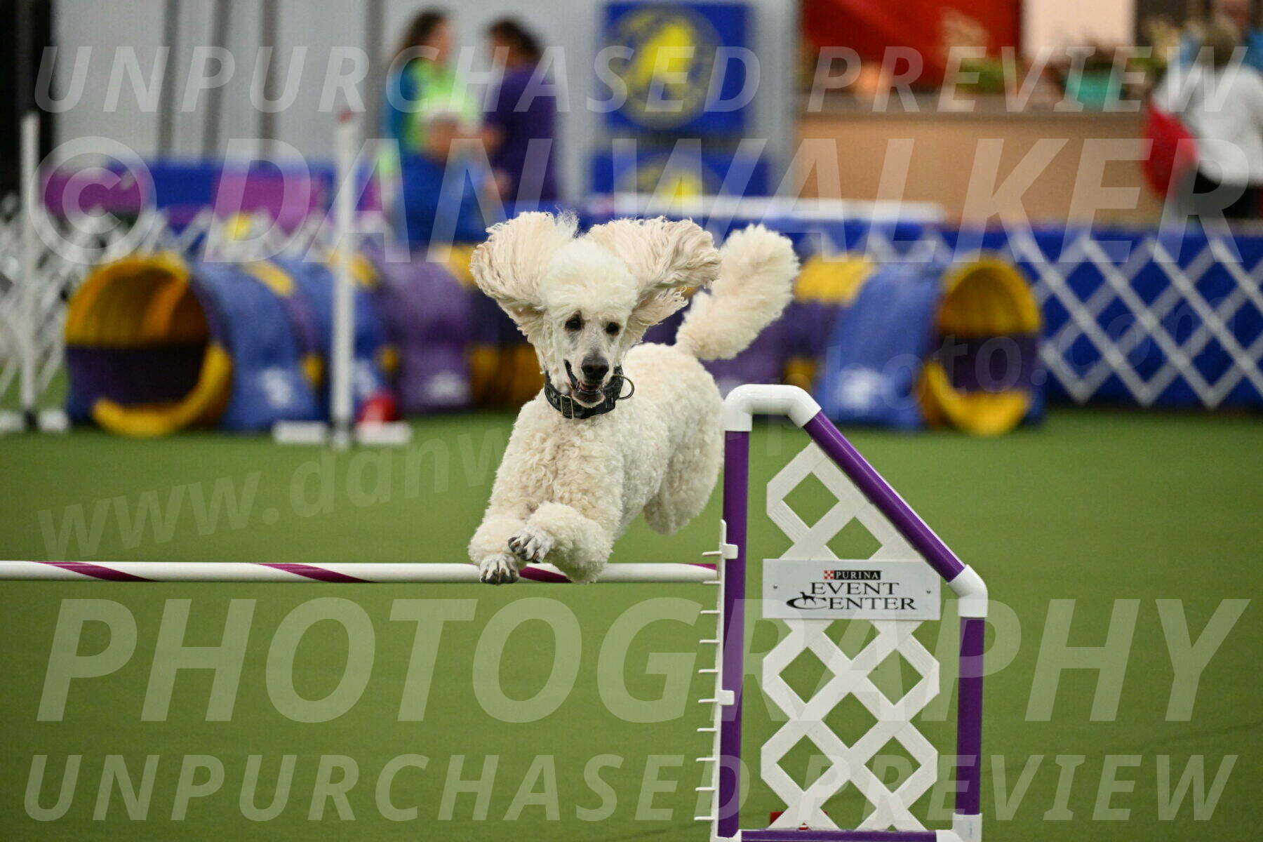 MAS-EX-JWW-24-Inch_3547