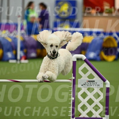 MAS-EX-JWW-24-Inch_3547