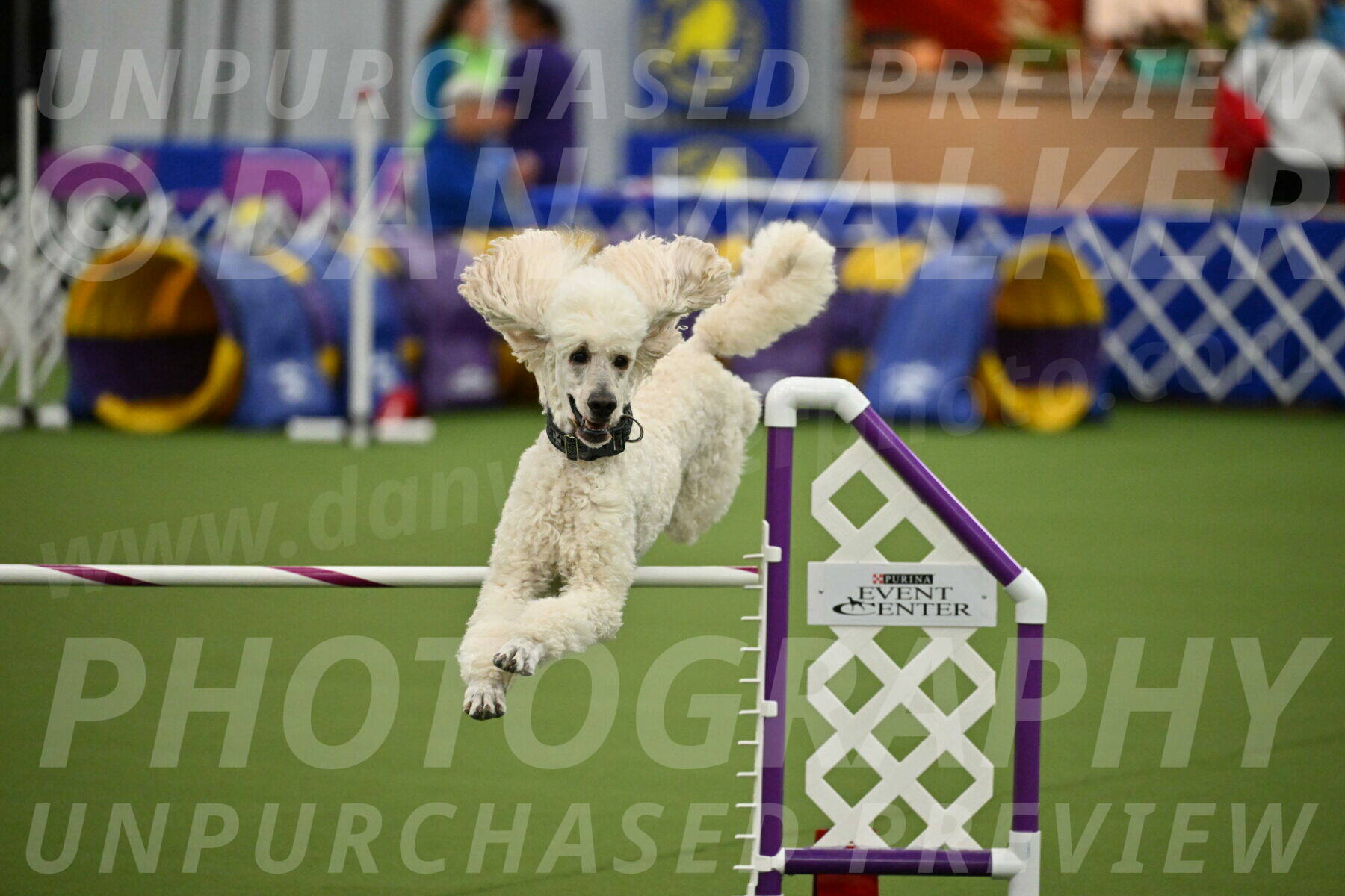 MAS-EX-JWW-24-Inch_3548