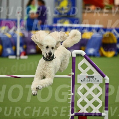 MAS-EX-JWW-24-Inch_3548