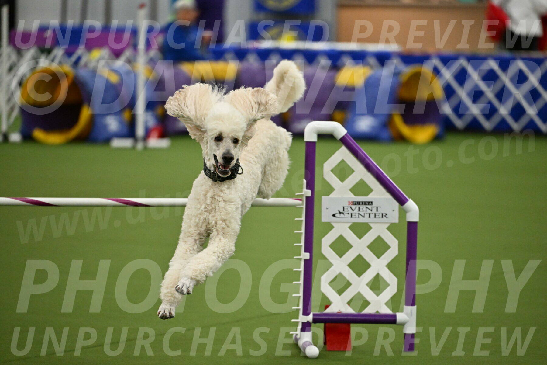 MAS-EX-JWW-24-Inch_3549