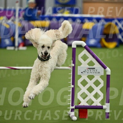 MAS-EX-JWW-24-Inch_3549