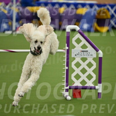 MAS-EX-JWW-24-Inch_3550