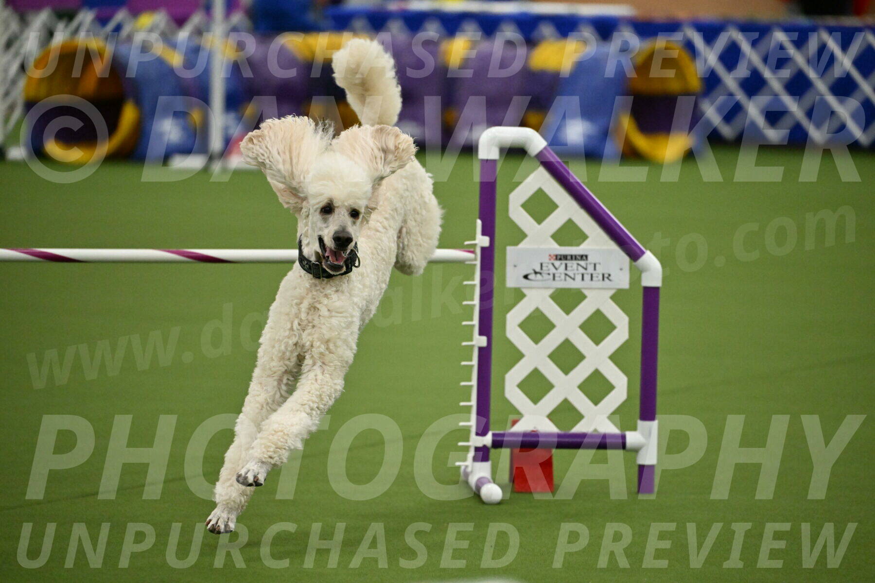 MAS-EX-JWW-24-Inch_3550