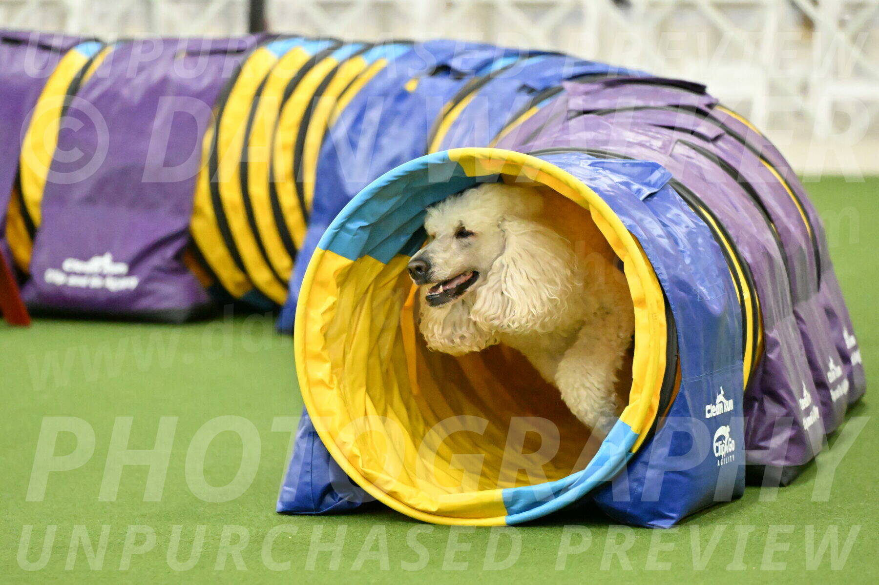 MAS-EX-JWW-24-Inch_3551