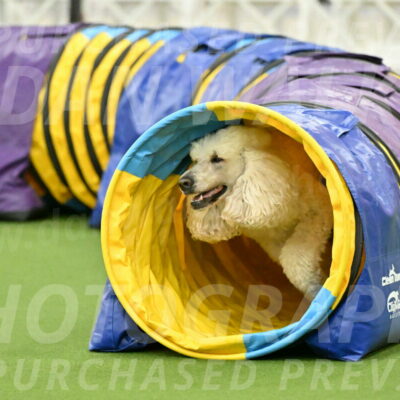 MAS-EX-JWW-24-Inch_3551