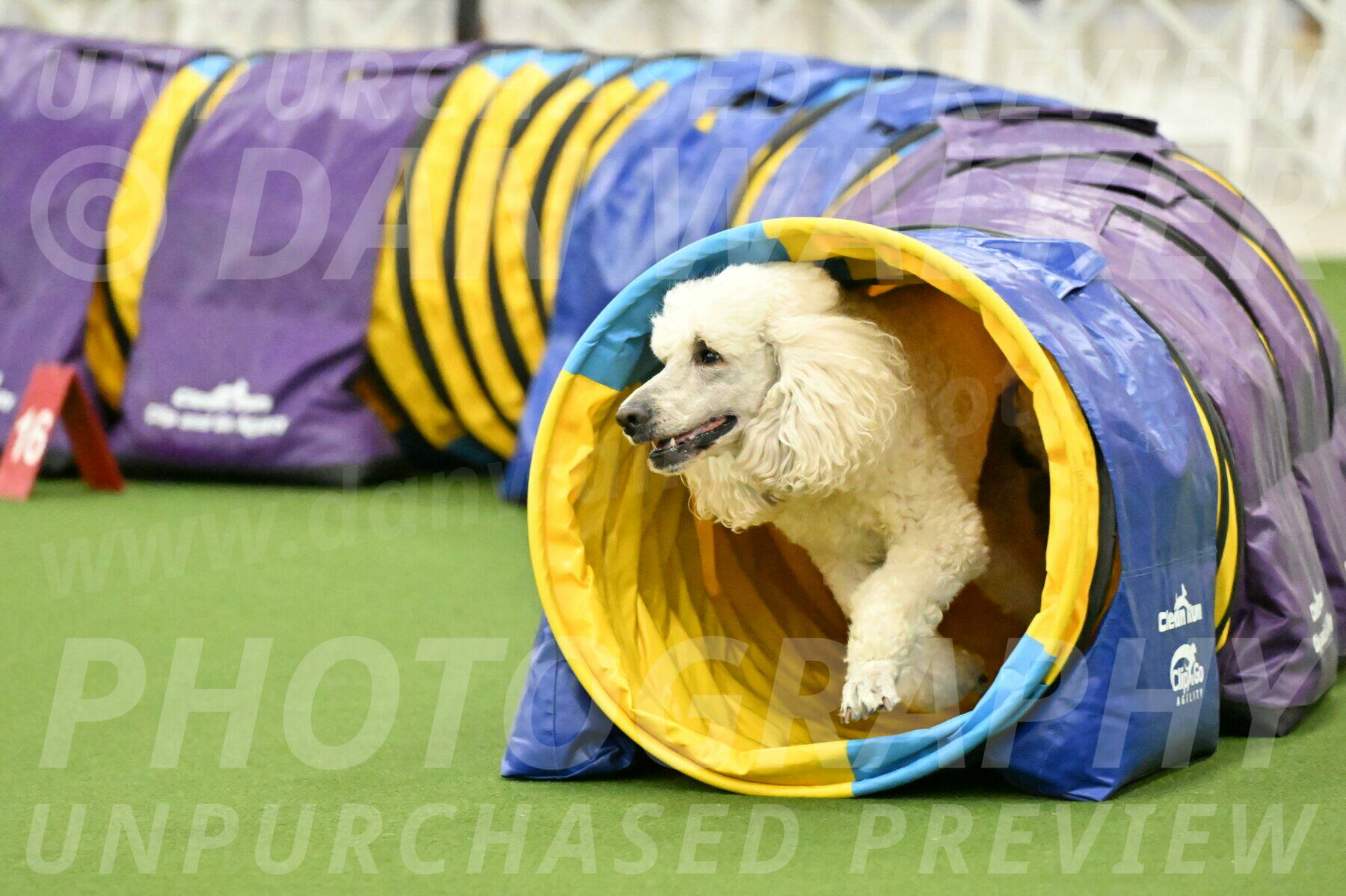 MAS-EX-JWW-24-Inch_3552