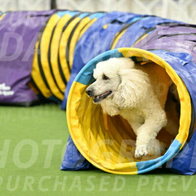 MAS-EX-JWW-24-Inch_3552