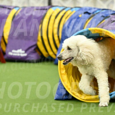 MAS-EX-JWW-24-Inch_3553