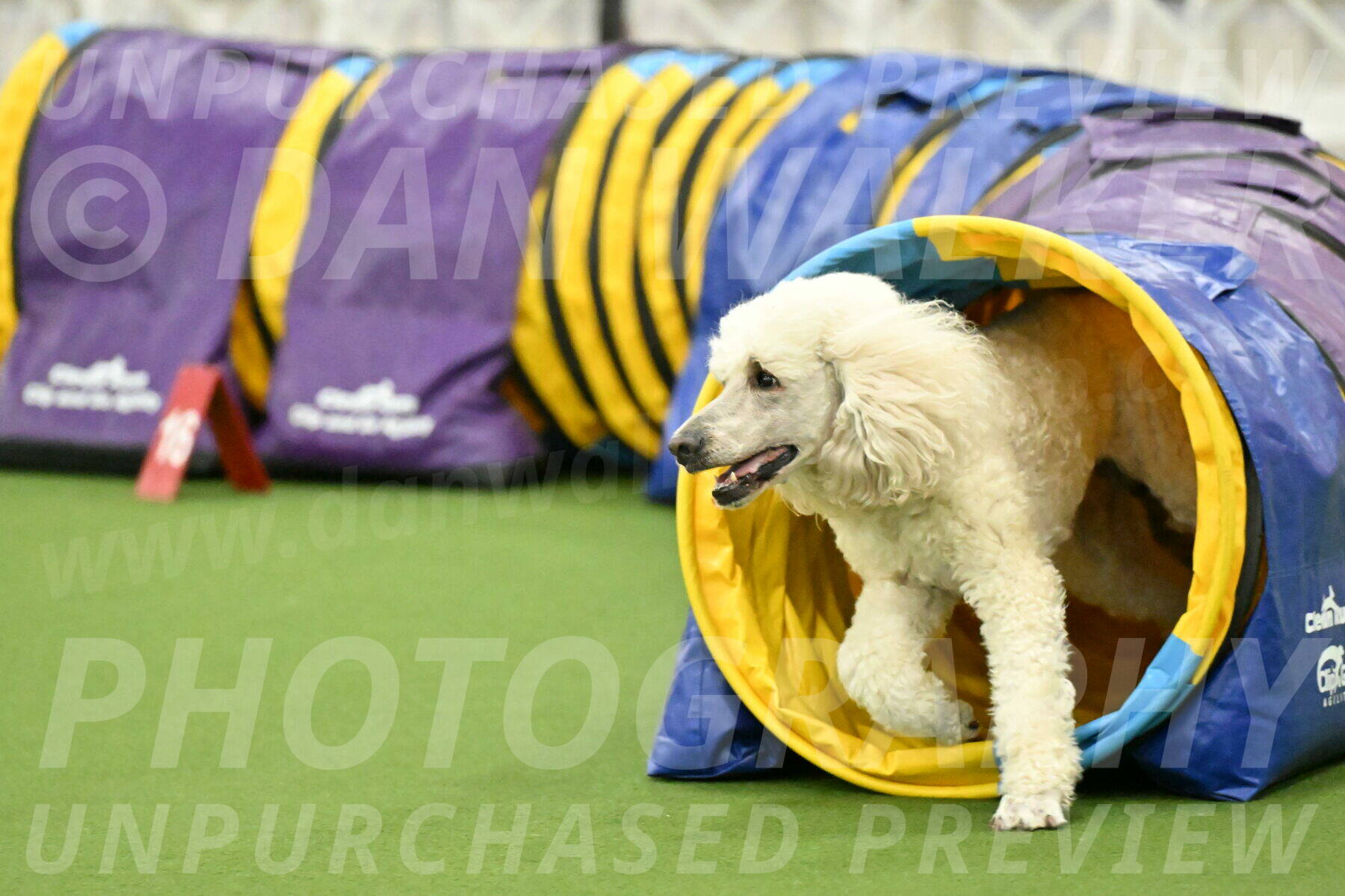 MAS-EX-JWW-24-Inch_3553