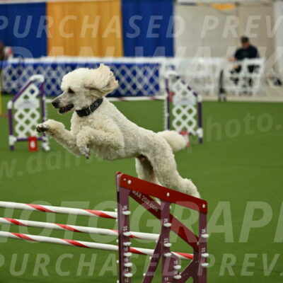 MAS-EX-JWW-24-Inch_3557