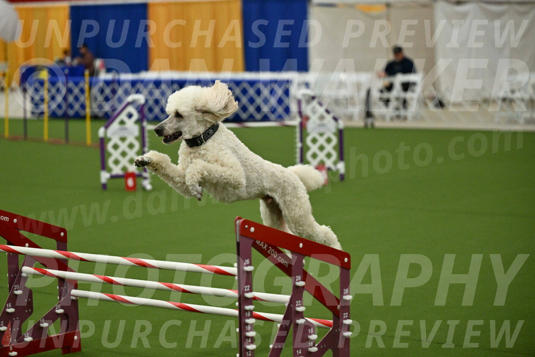 MAS-EX-JWW-24-Inch_3557