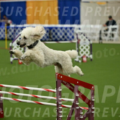 MAS-EX-JWW-24-Inch_3558