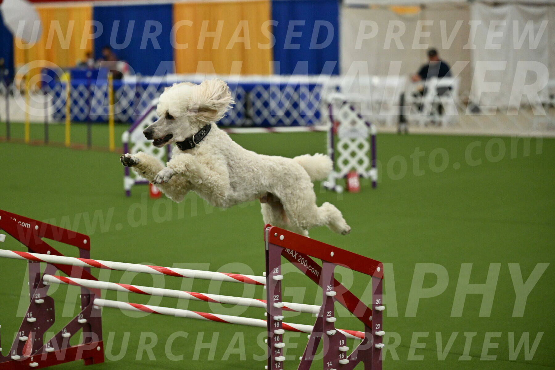 MAS-EX-JWW-24-Inch_3558