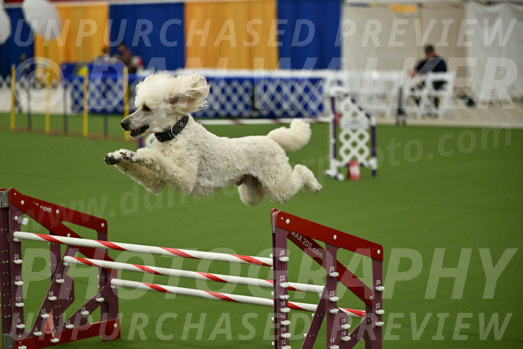 MAS-EX-JWW-24-Inch_3559