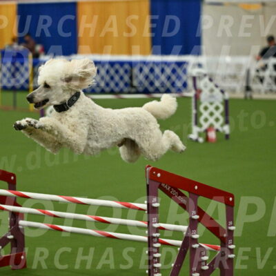 MAS-EX-JWW-24-Inch_3559