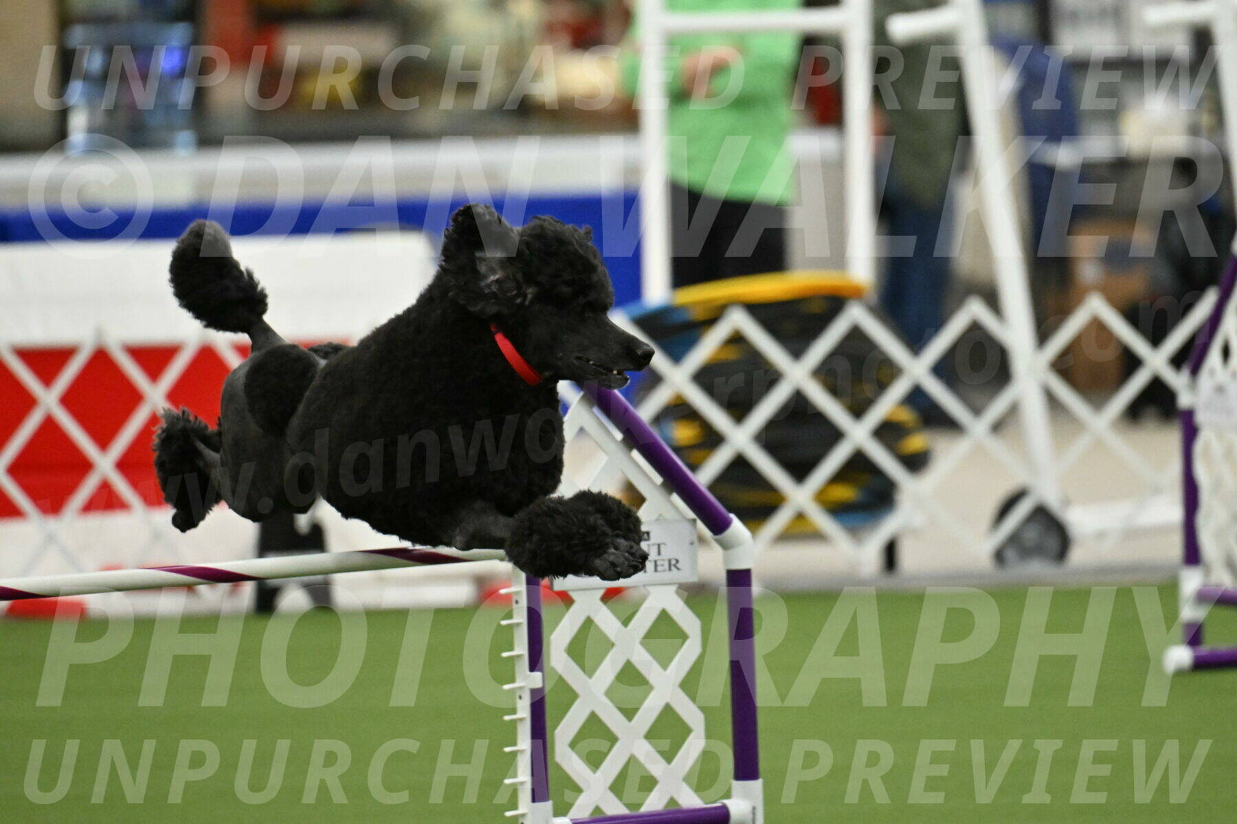 MAS-EX-JWW-24-Inch_3564