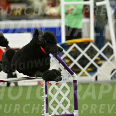 MAS-EX-JWW-24-Inch_3564