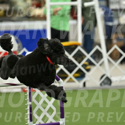 MAS-EX-JWW-24-Inch_3565