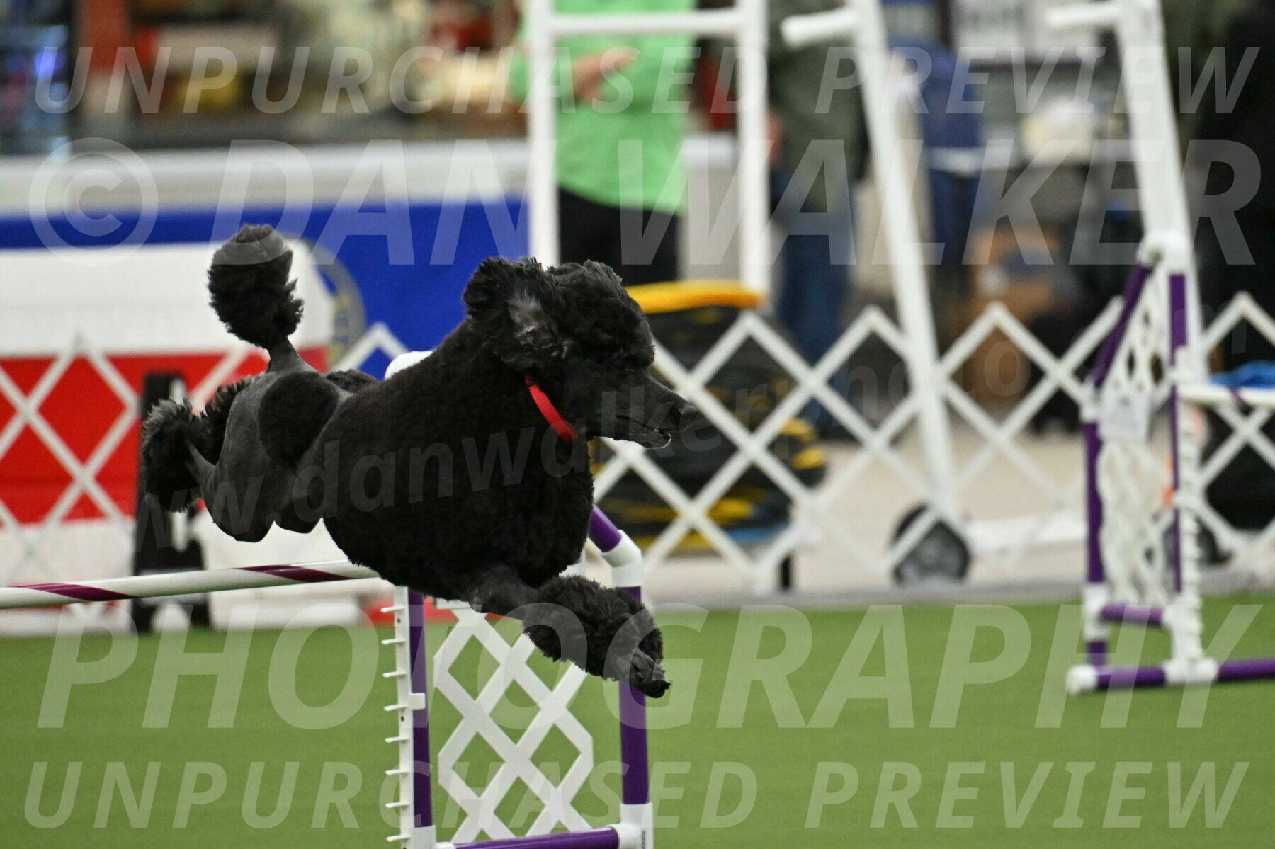 MAS-EX-JWW-24-Inch_3565